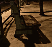 21st Jan 2014 - Park Bench Retrench