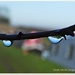 Droplet Reflection by carolmw