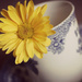 Floral Tea  by Allison