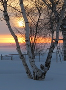 24th Jan 2014 - Sunrise over lake  