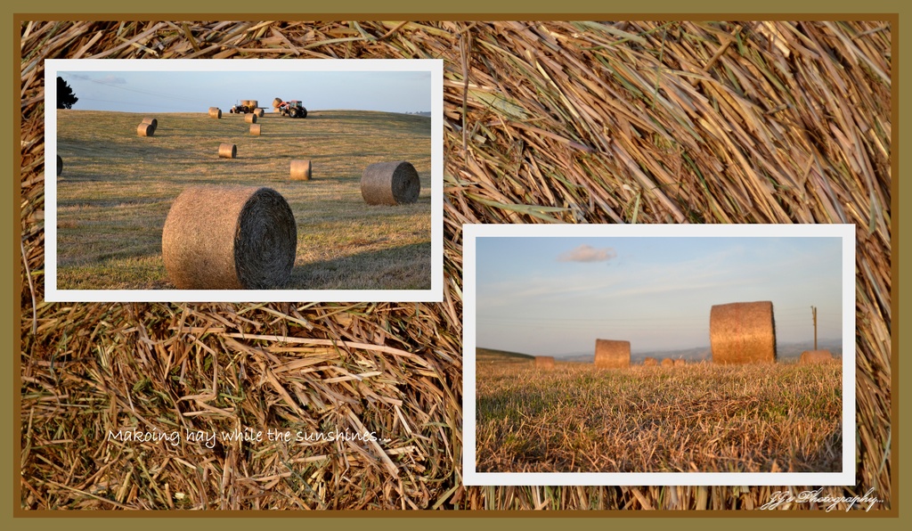 haymaking.. by julzmaioro