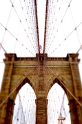 24th Jan 2014 - Brooklyn bridge