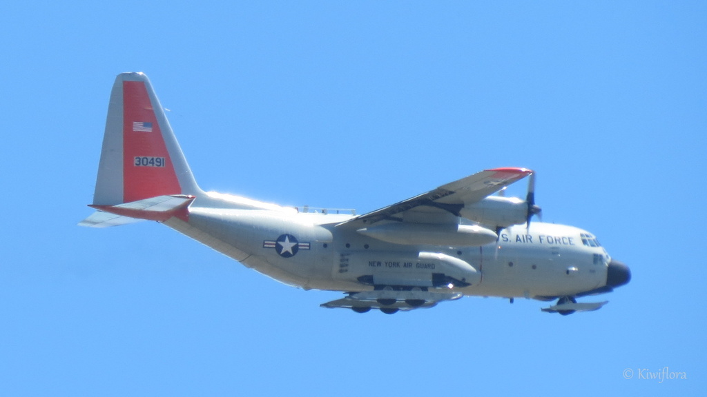 US Air Force Hercules C130 by kiwiflora