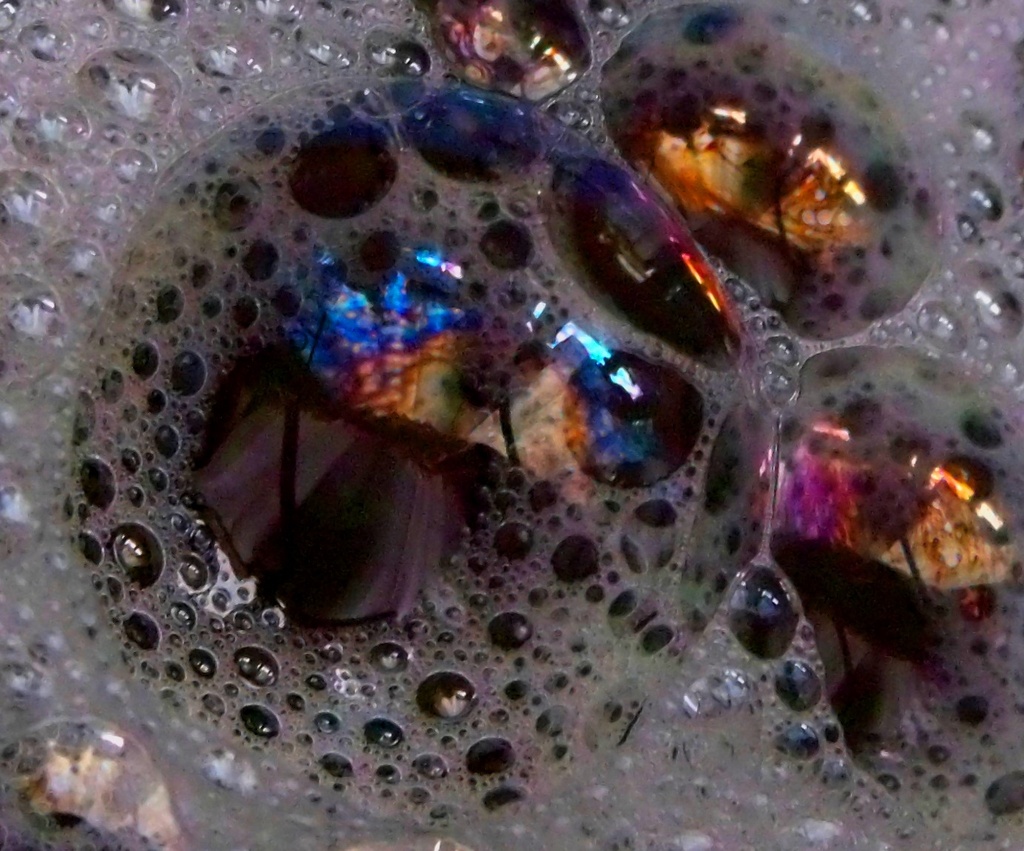 Tiny Bubbles by lizzybean