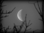 25th Jan 2014 - Morning moon!
