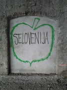 24th Jan 2014 - Selovenija