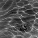 Underwater portrait of a rock by corktownmum