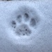 Footprint by gabis
