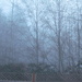 Foggy morning by kathyo