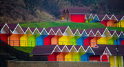 22nd Jan 2014 - 22nd January 2014 - Rainbow houses