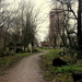 Tower Hamlets Cemetry Park by emma1231