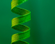 25th Jan 2014 - green helix