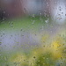 Raindrops by philhendry