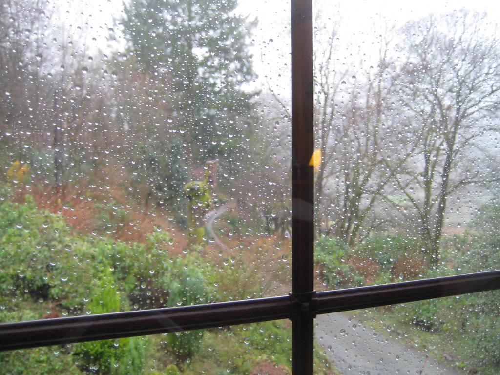  Rain on the Window Panes by susiemc