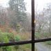  Rain on the Window Panes by susiemc