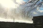 26th Jan 2014 - Snow storm 