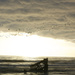 Peter Iredale by rlaughy