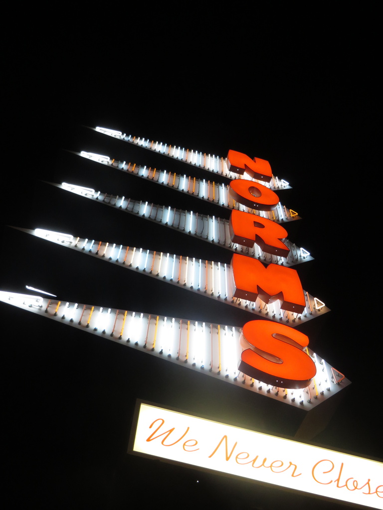 Norms at Night by lisasutton