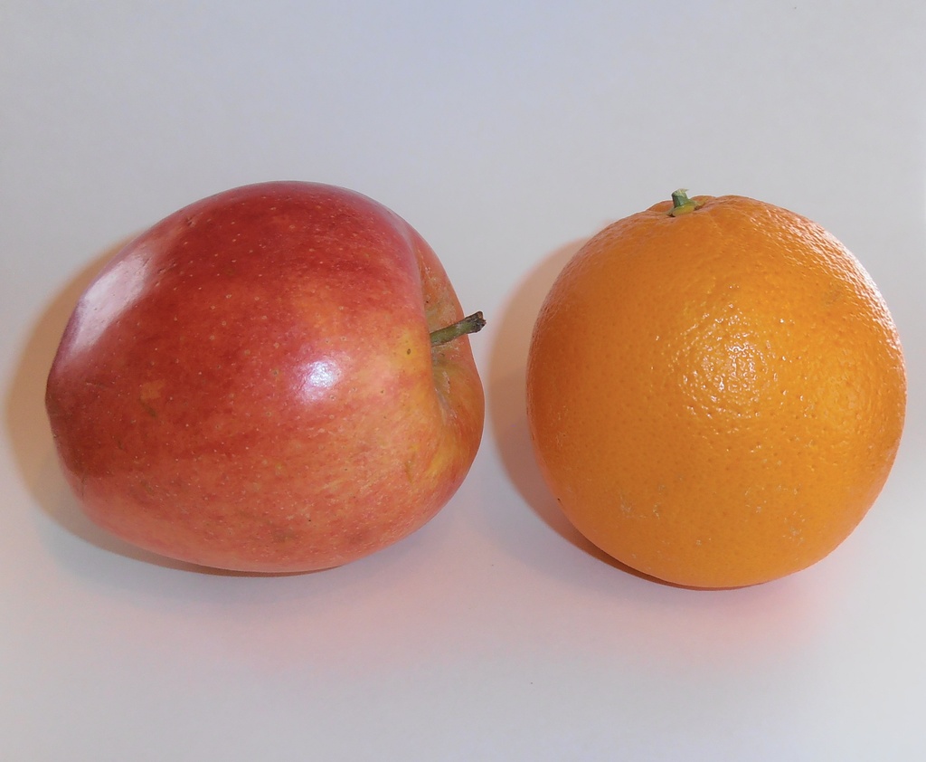 Comparing Apples and Oranges by julie