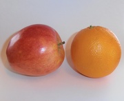 26th Jan 2014 - Comparing Apples and Oranges