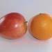 Comparing Apples and Oranges by julie