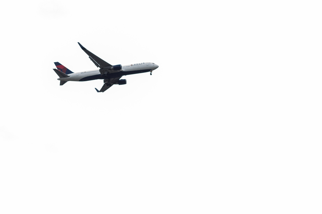 Delta Flight Landing by rayas