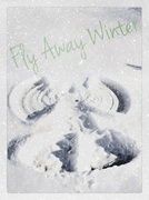 26th Jan 2014 - Wings