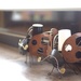 Ladybugs by tina_mac