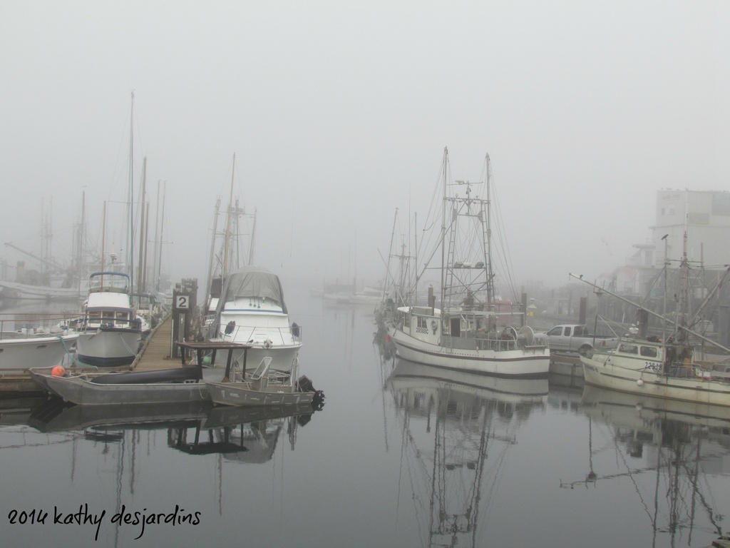 Foggy Day in French Creek by kathyo