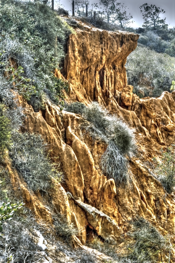 Torrey Pines Trails by joysfocus