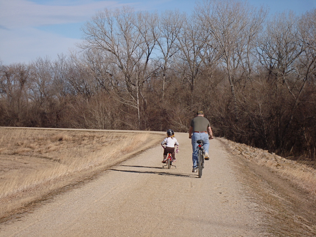 On the Linear Trail by mcsiegle