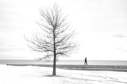 26th Jan 2014 - A Lonely Walker along Lake Michigan 