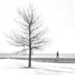 A Lonely Walker along Lake Michigan  by taffy