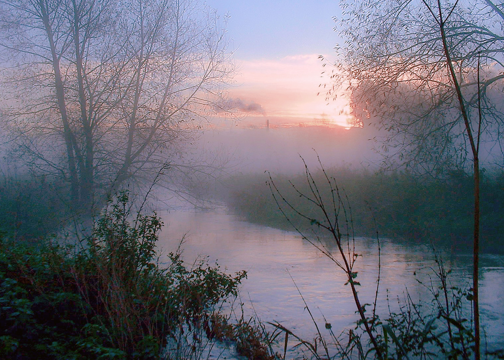 Foggy sunrise by shepherdmanswife