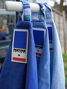 27th Jan 2014 - Pantone tea towels