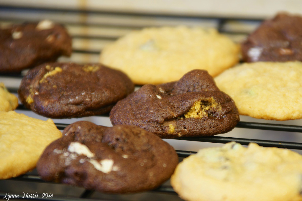 Cookies by lynne5477