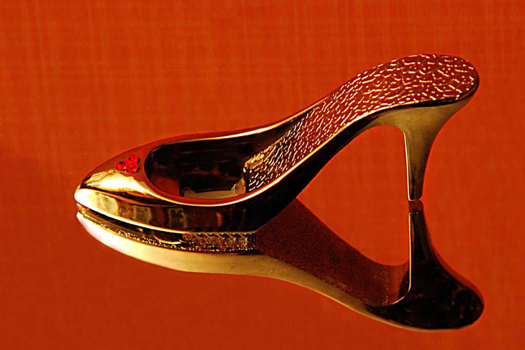 Reflection of the golden shoe! by fayefaye