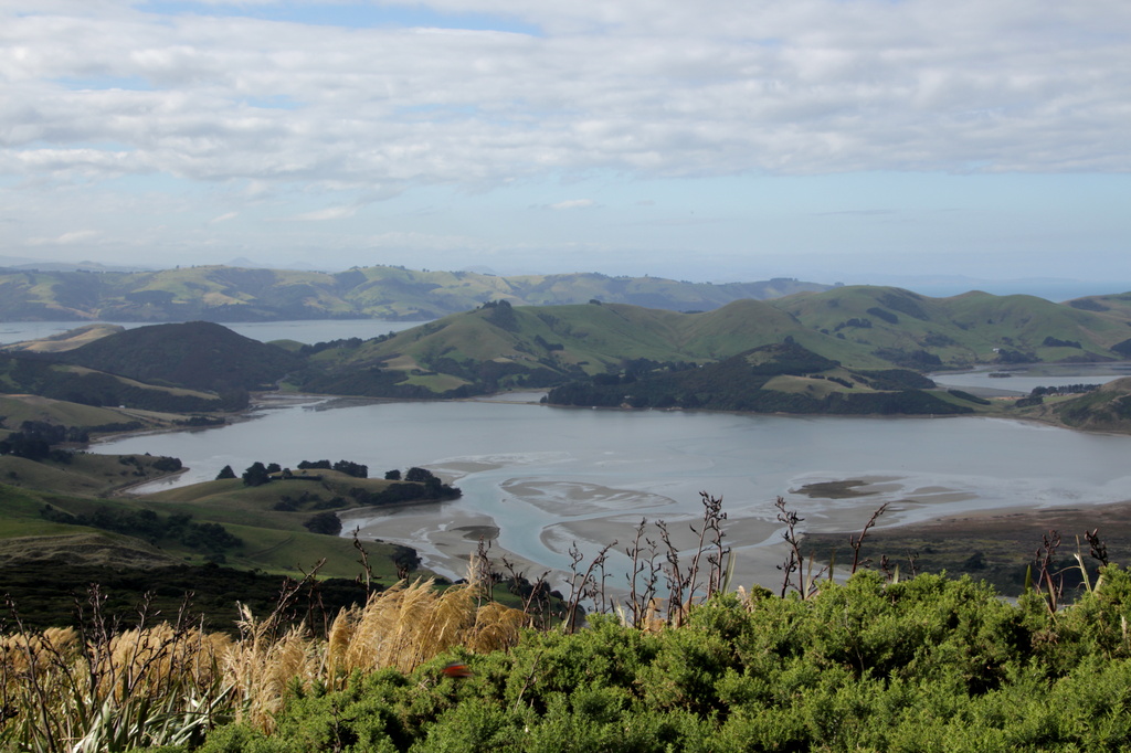 View over Dunedin by busylady