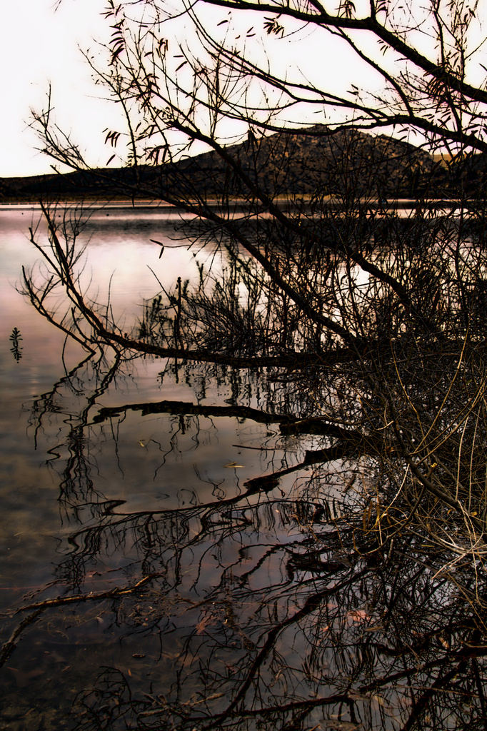 Evening On The Lake by joysfocus