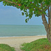 Teluk Bahang by ianjb21