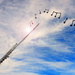 Music in the clouds... by homeschoolmom
