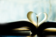 27th Jan 2014 - I Heart Books