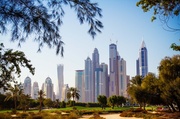28th Jan 2014 - Day 028, Year 2 - Emirates Golf Course, Dubai