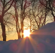 28th Jan 2014 - Sunrise over the snow