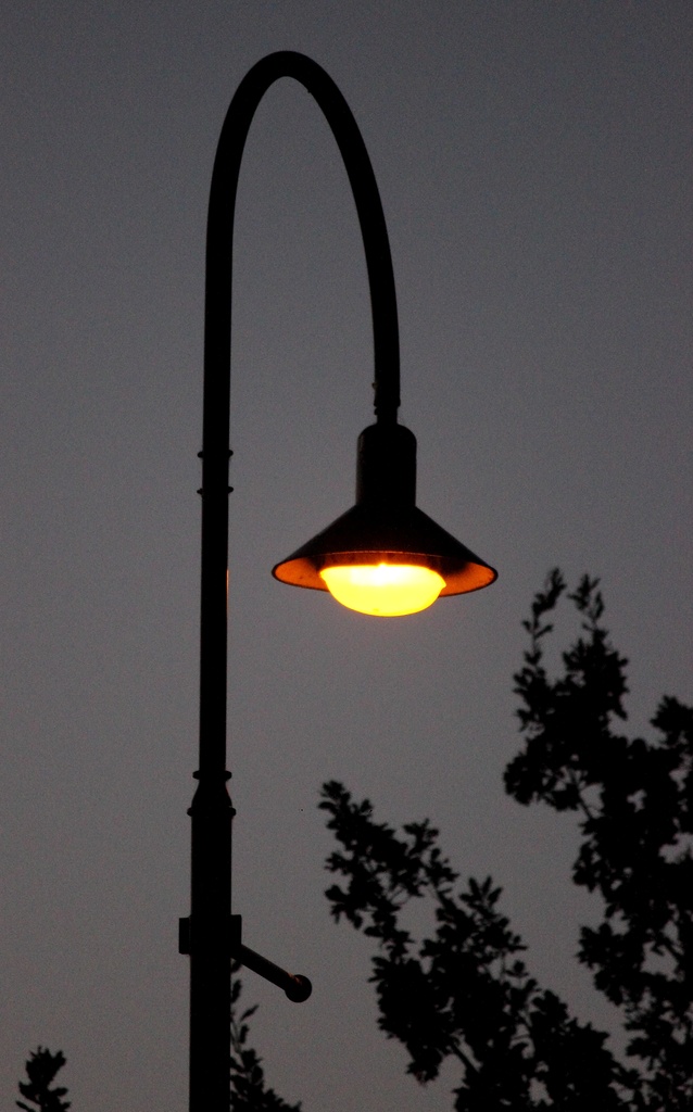 "Street Lamp at Dusk"....Berwick Springs... by tellefella