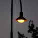 "Street Lamp at Dusk"....Berwick Springs... by tellefella