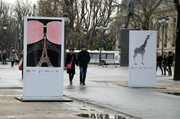 28th Jan 2014 - Paris celebrates the graphism on the Champs Elysees