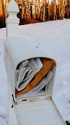 28th Jan 2014 - My mailbox is full!