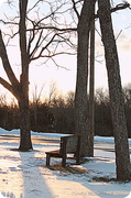 29th Jan 2014 - Come, sit, and watch the sunset