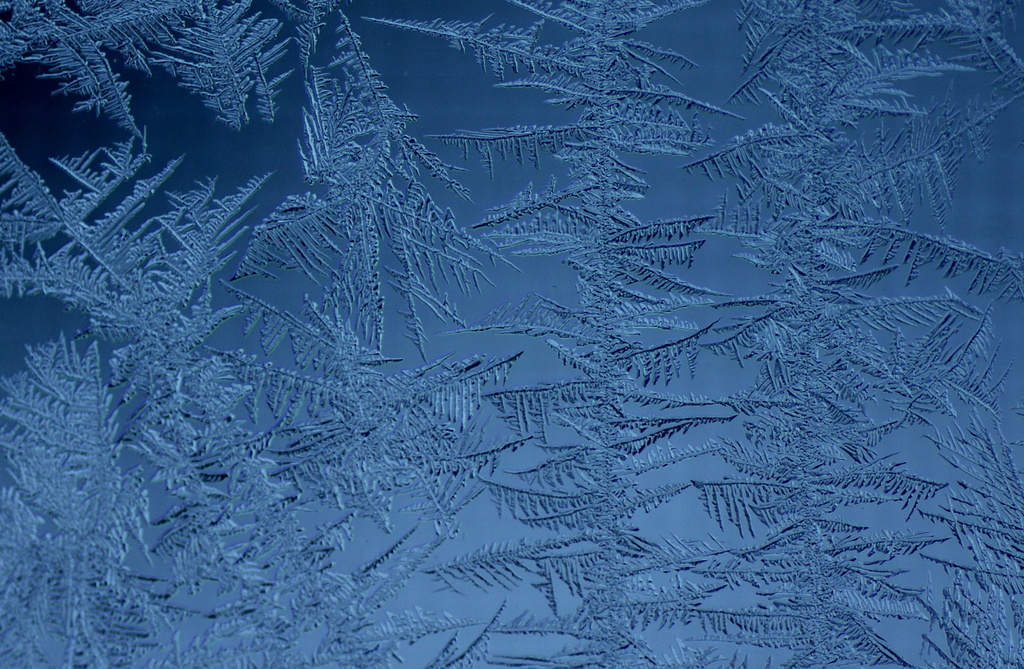 Frost on the Window  by radiogirl